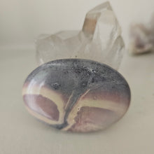 Load image into Gallery viewer, Porcelain Jasper Palmstone
