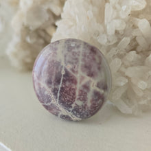 Load image into Gallery viewer, Porcelain Jasper Round Palmstone
