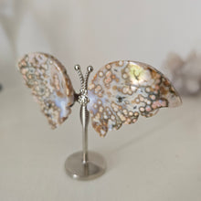 Load image into Gallery viewer, Ocean Jasper Butterfly
