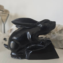 Load image into Gallery viewer, Chrysanthemum Stone Rabbit
