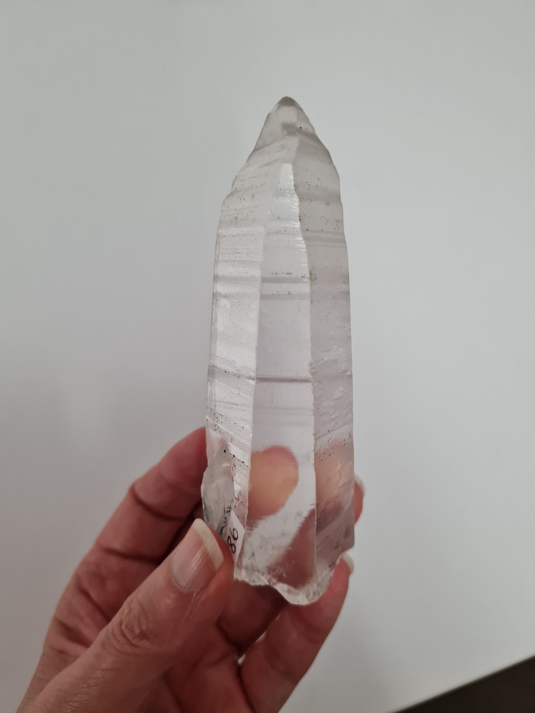 Lemurian Seed Quartz