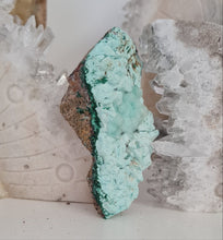 Load image into Gallery viewer, Botryoidal Chrysocolla
