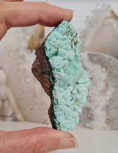 Load image into Gallery viewer, Botryoidal Chrysocolla
