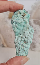 Load image into Gallery viewer, Botryoidal Chrysocolla
