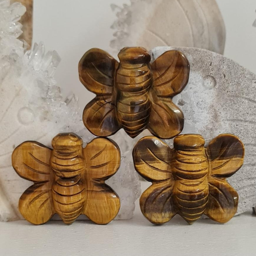 Tiger Eye Bee