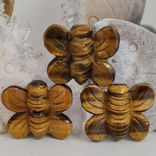 Load image into Gallery viewer, Tiger Eye Bee
