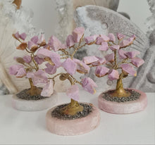 Load image into Gallery viewer, Phosphosiderite Chip Wire Tree
