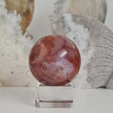 Load image into Gallery viewer, Carnelian Flower Agate Sphere with Druzy
