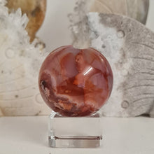Load image into Gallery viewer, Carnelian Flower Agate Sphere with Druzy
