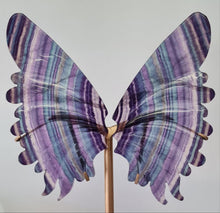Load image into Gallery viewer, Rainbow Fluorite Wings
