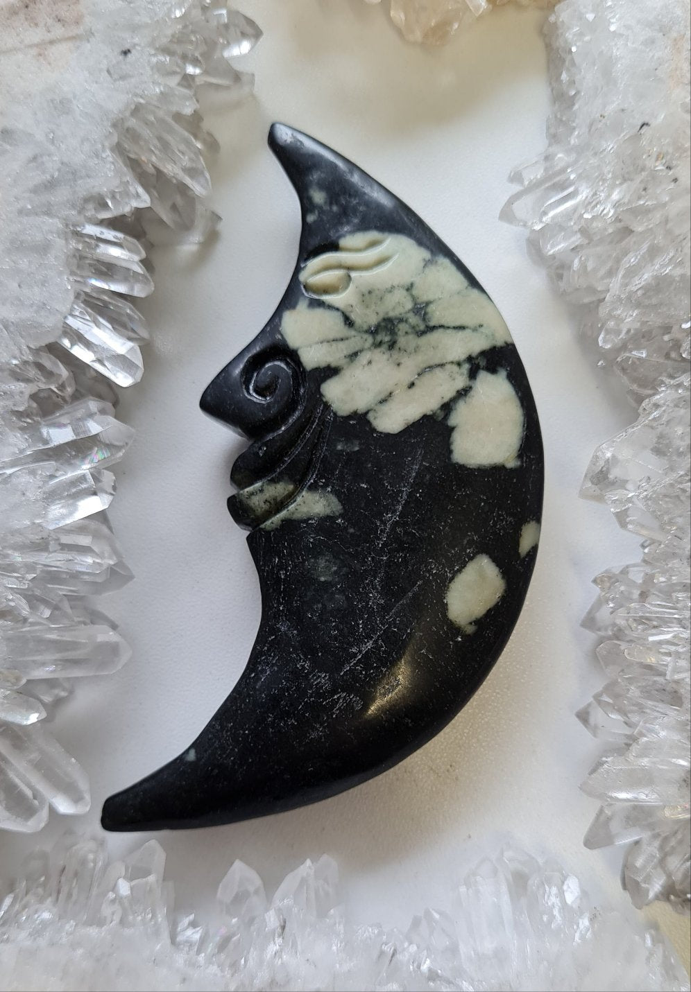 Chrysanthemum Moon