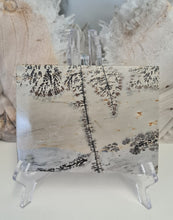 Load image into Gallery viewer, Picture Jasper Slab
