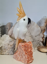 Load image into Gallery viewer, Gemstone Carved Cockatoo
