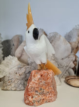 Load image into Gallery viewer, Gemstone Carved Cockatoo

