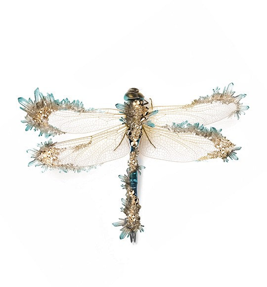 Crystal Dragonfly Vertical Art Print
